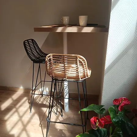 Very Quiet 2-person With A Hot Tub Apartment Villeurbanne